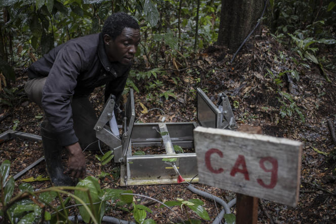 Scientifiques et agriculteurs de RDC apportent leur secours au bassin du Congo, deuxième « poumon vert » du monde.